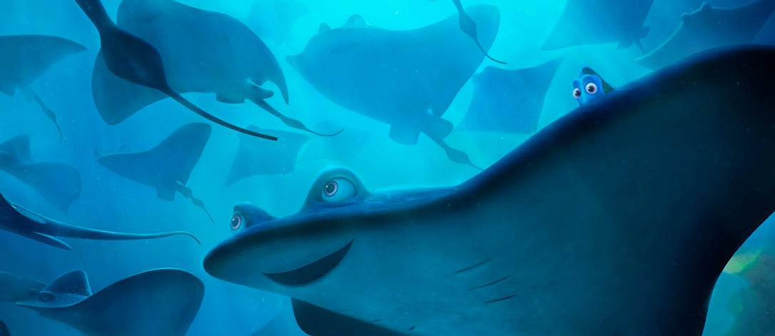 Encontre Dory nos pôsteres de Procurando Dory