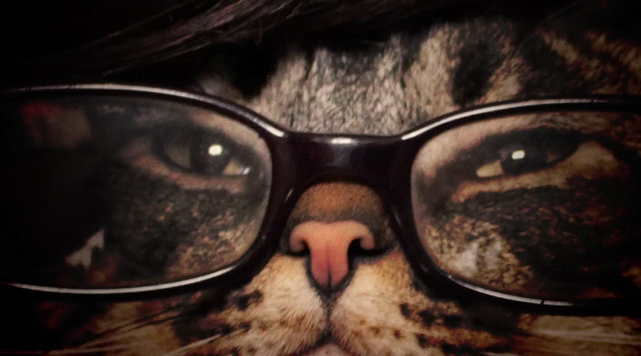 Orange Is The New Black ganha versão com gatinhos