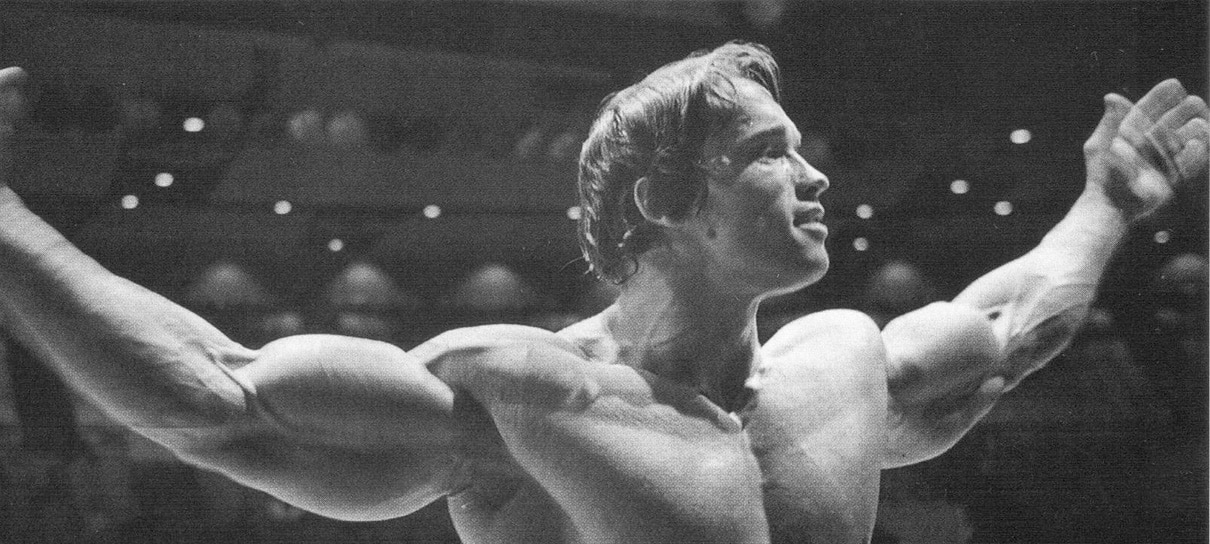 Arnold Schwarzenegger está produzindo série autobiográfica