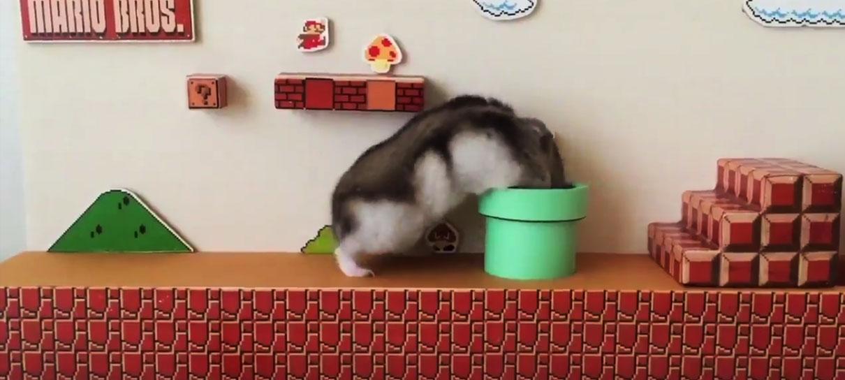 Hamster termina versão maquete de Super Mario Bros