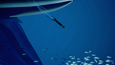 abzu_gif_2