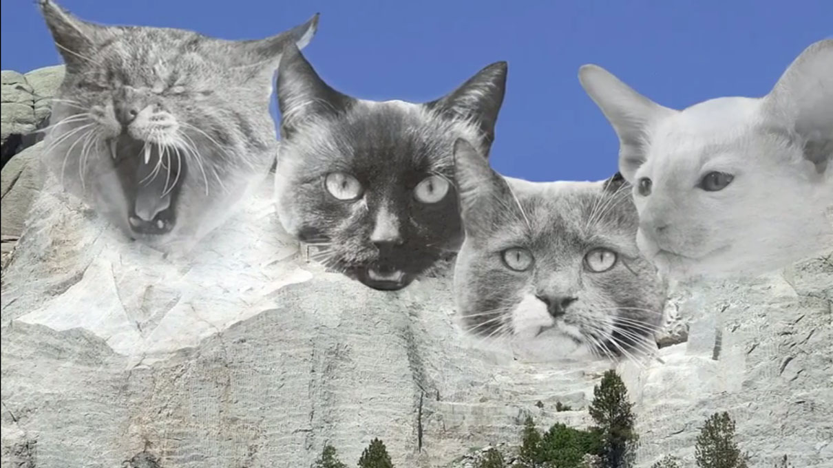 Cat President é um jogo para quem acha que os gatos devem governar o mundo