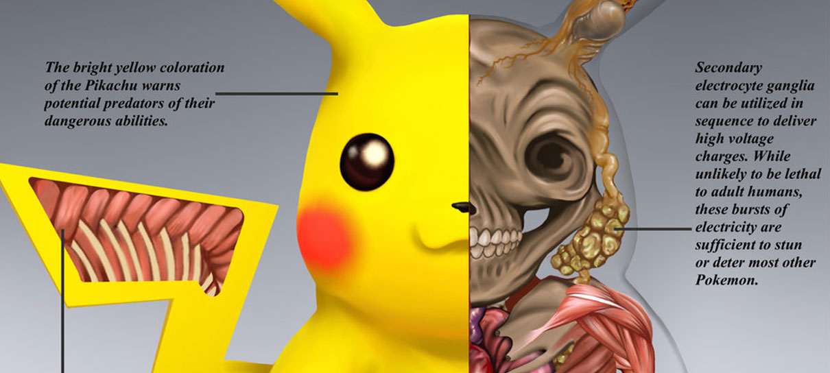 Pokémon | Artista mostra como seria a anatomia dos monstrinhos em PokéNatomy