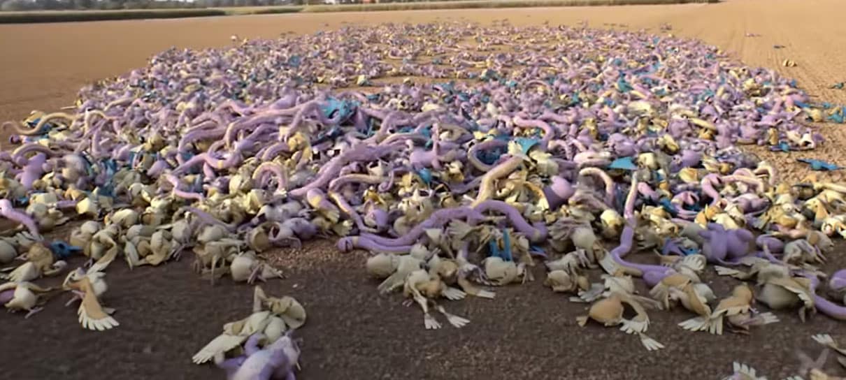 Pokémon GO | Vídeo brinca com a quantidade dos mesmos pokémon que achamos no jogo