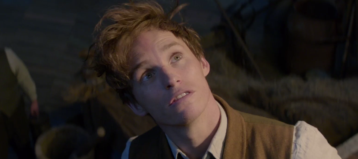 Animais Fantásticos | Newt não será o protagonista de todas as sequências