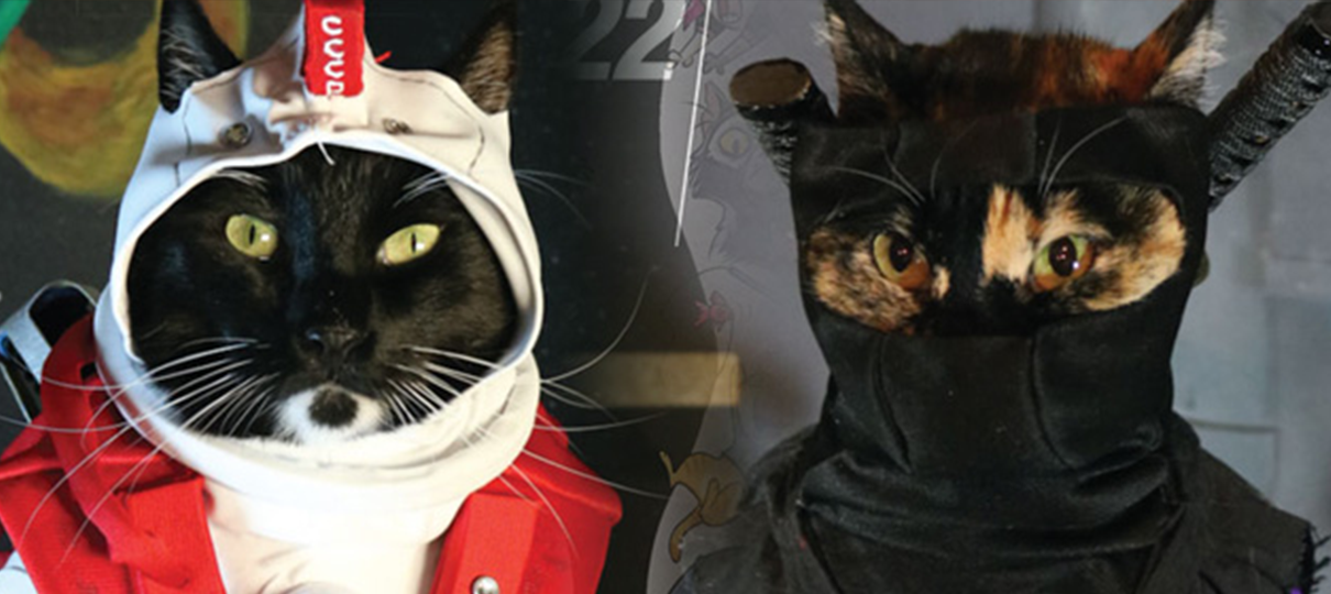 Valiant Comics coloca gatos com cosplay em suas capas variantes