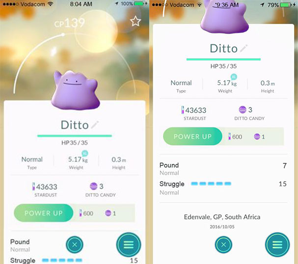 pokemongoditto