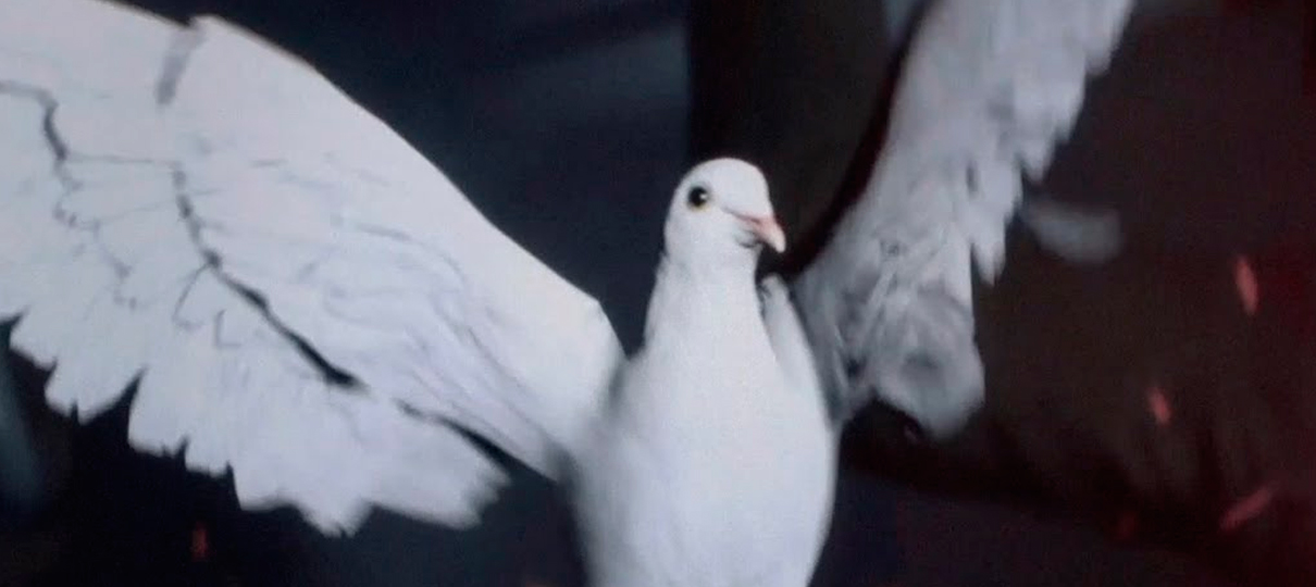 Battlefield 1 deixa o jogador controlar um pombo na campanha solo