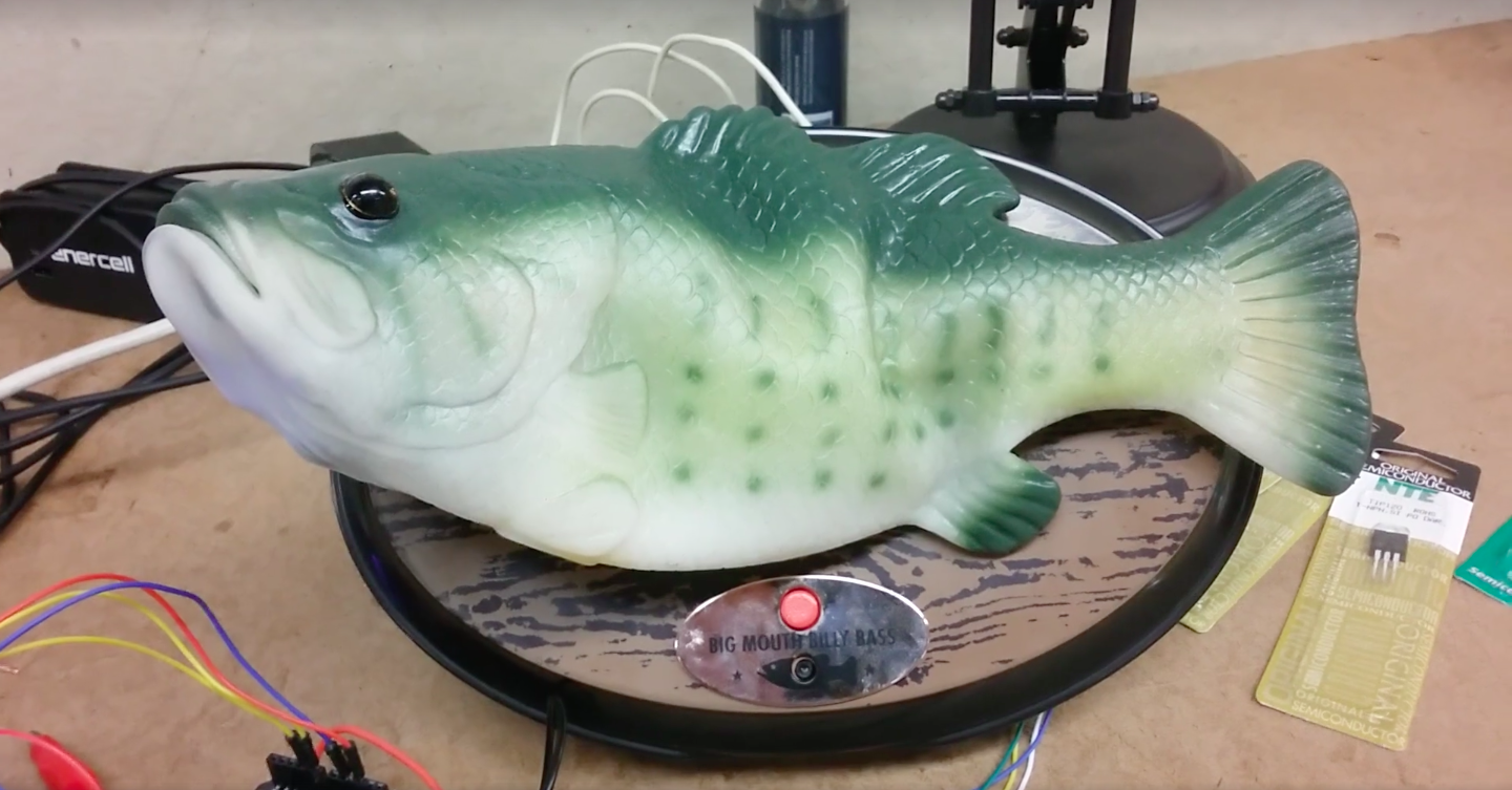 Alguém instalou uma Alexa em um peixe que fala