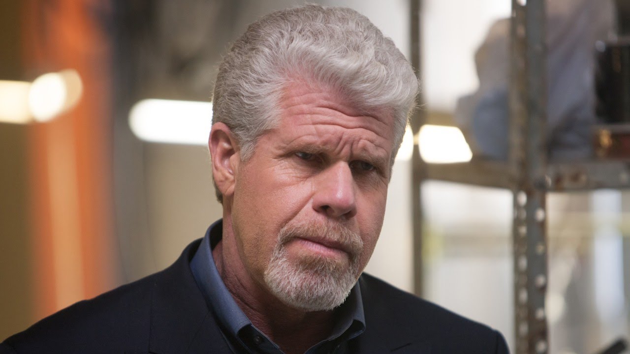 Ron Perlman quer se candidatar à presidência em 2020