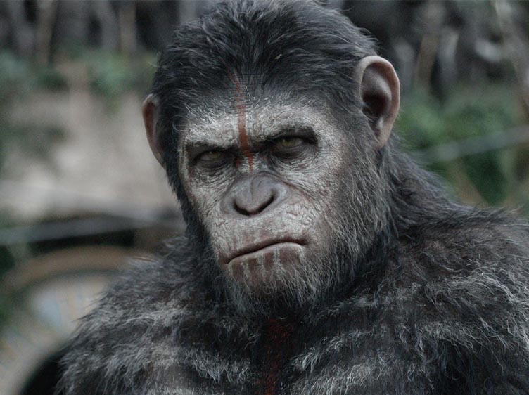 Imagem do episódio