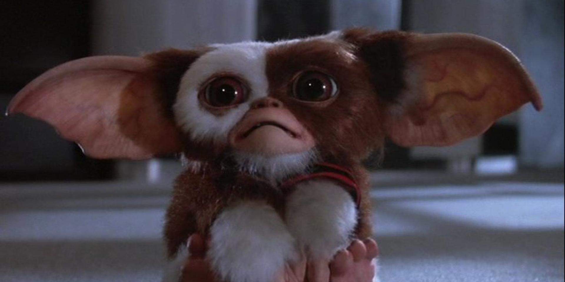 Gremlins 3 | Ator compara sequência com O Despertar da Força