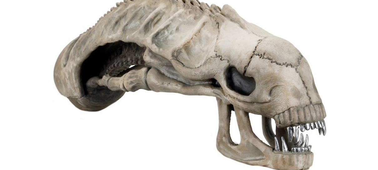 Alien | Agora você pode ter um crânio de Xenomorfo na sua casa!