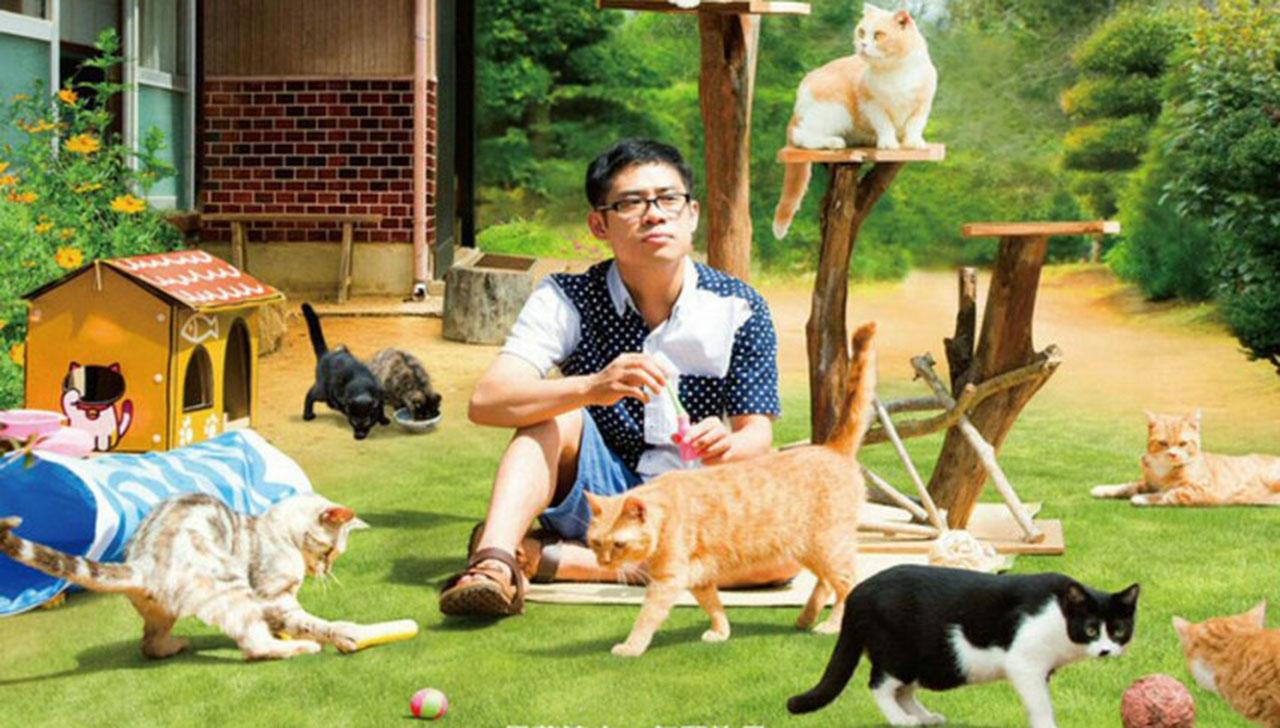 Neko Atsume | Pôster do longa revela o paraíso de quem ama gatos