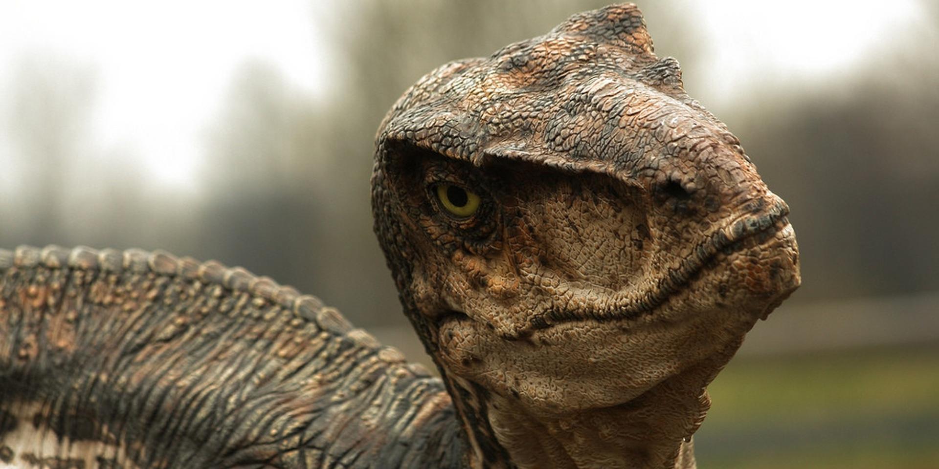 Jurassic World 2 pode falar sobre os direitos dos dinossauros