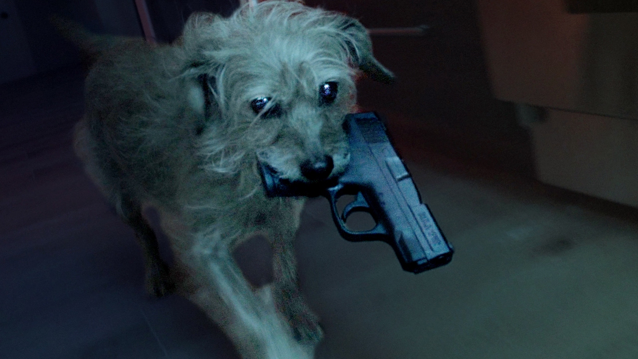 Dog Wick é uma versão de John Wick na qual o cachorro se vinga pelo