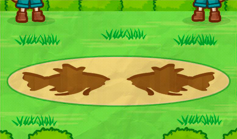splashmagikarp