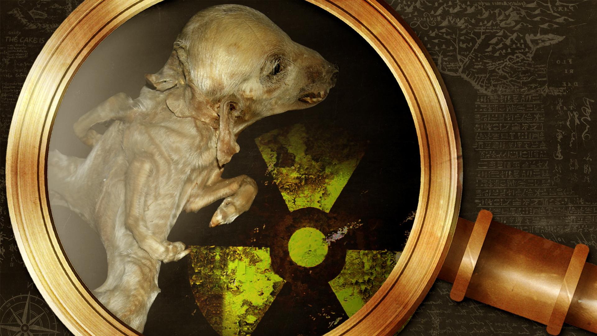 Chernobil: as terríveis consequências