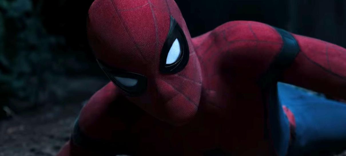 Homem-Aranha: De Volta ao Lar | Produtor do filme gostaria de ver um cameo dos Defensores