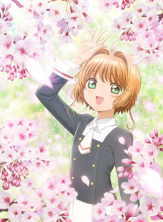 Data de lançamento de novo mangá de Sakura Card Captors é revelada