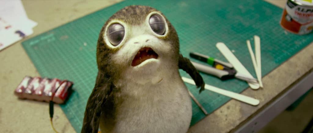 Star Wars: Os Últimos Jedi | Conheça os porgs, nova espécie do universo da franquia