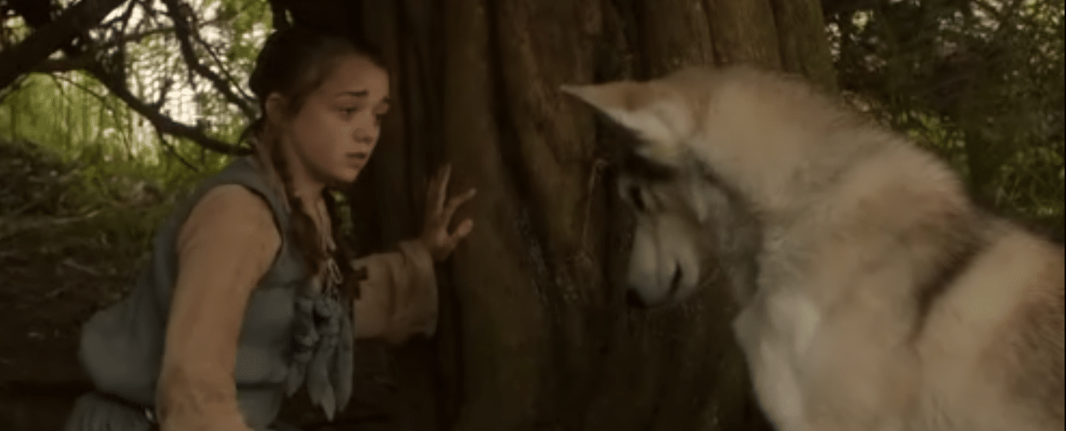 Game of Thrones | "Amiga" de Arya pode voltar na sétima temporada