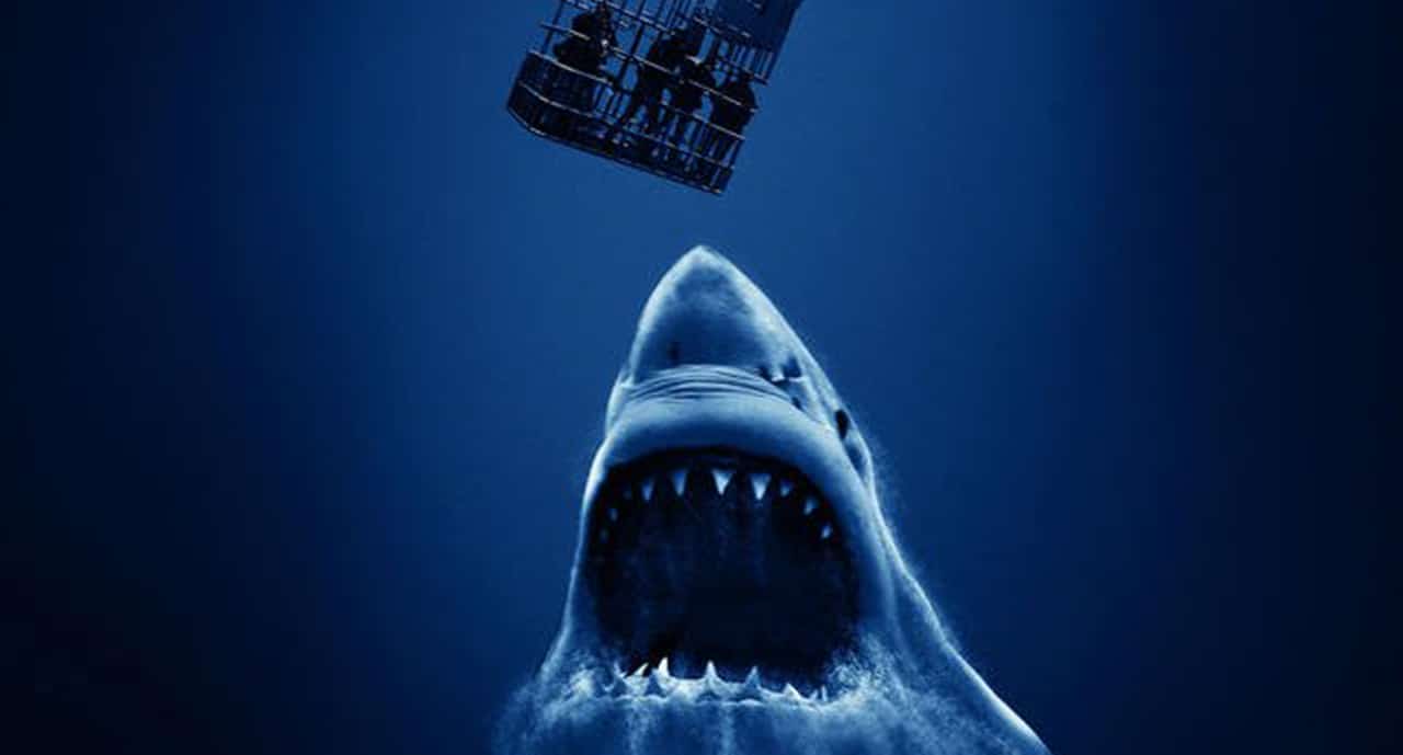 Open Water 3 | Trailer da continuação de Mar Aberto mostra ataques brutais de tubarões