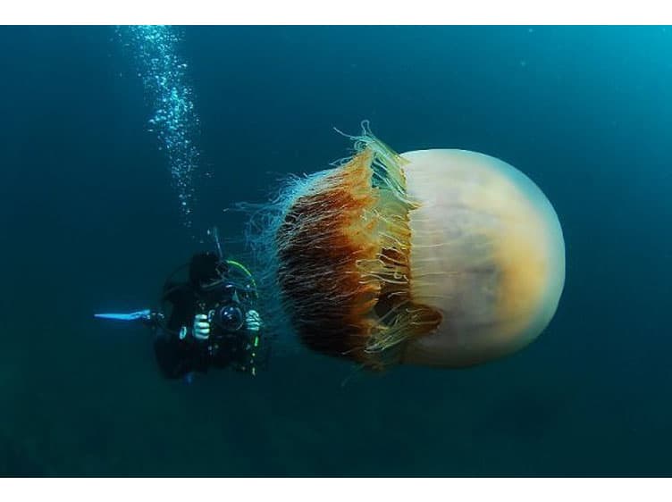 Imagem do episódio