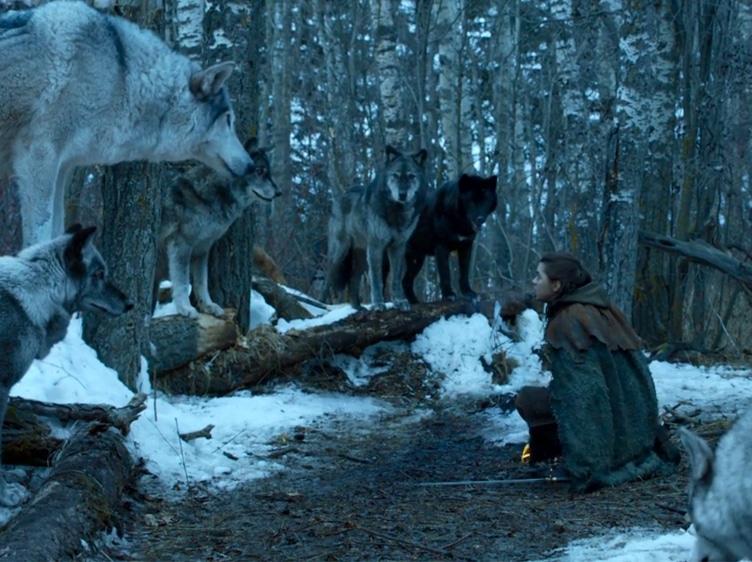 Imagem do episódio