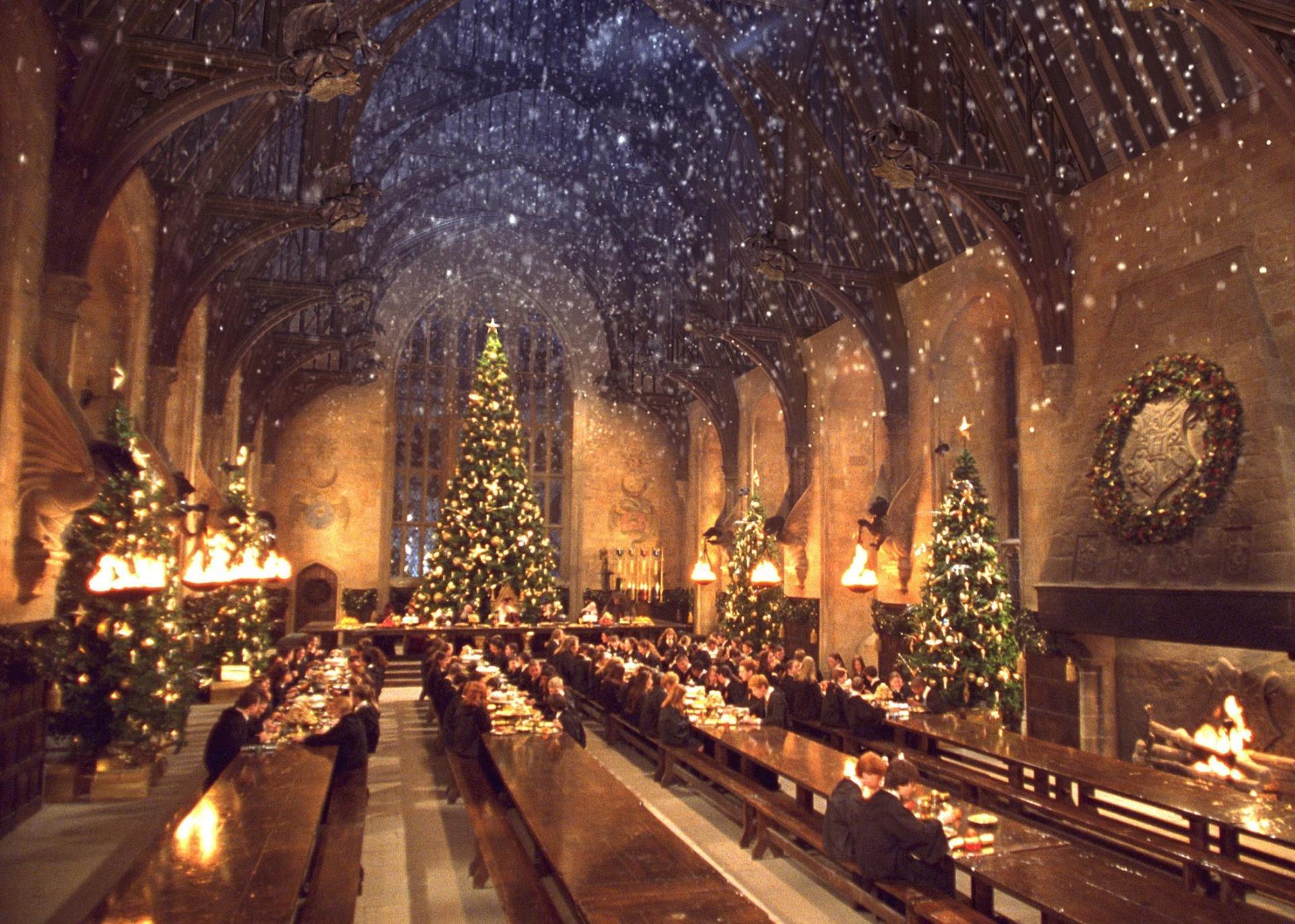 Harry Potter | Área temática nos Parques Universal terá comemoração de fim de ano
