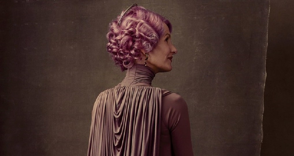Personagem de Star Wars: Os Últimos Jedi pode ser LGBT+