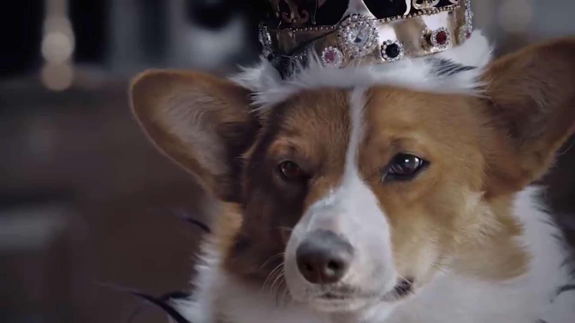 The Crown, da Netflix, ganha versão AUdorável da família reAU