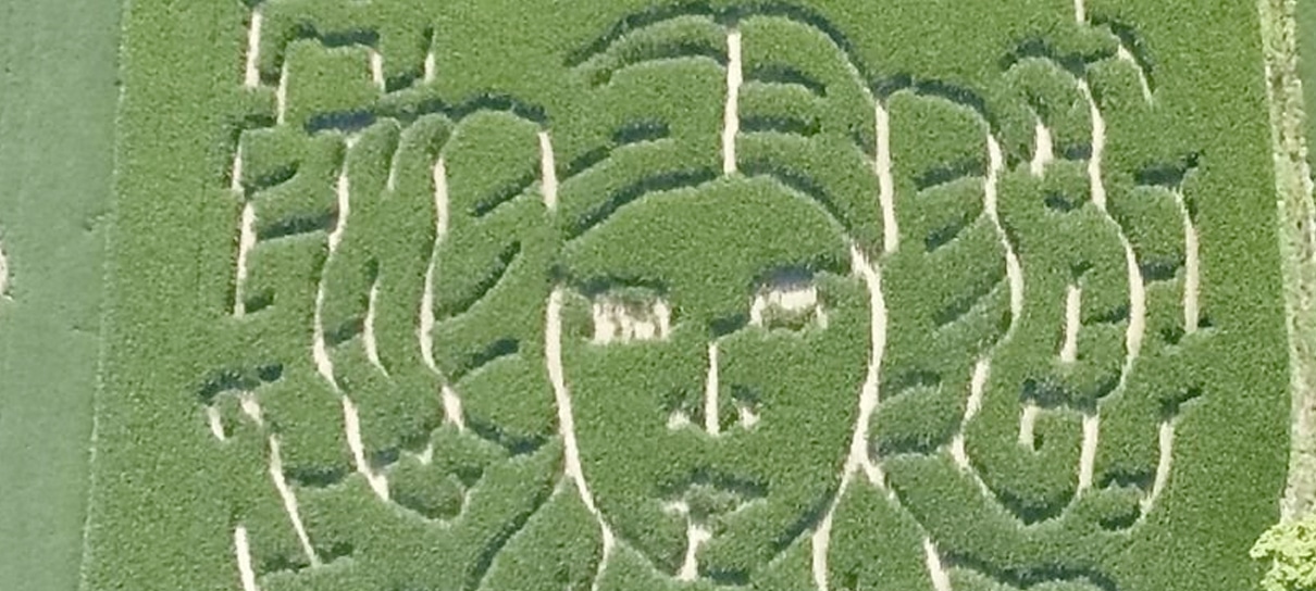 Star Wars | Fazendeiro desenha Princesa Leia em plantação de milho