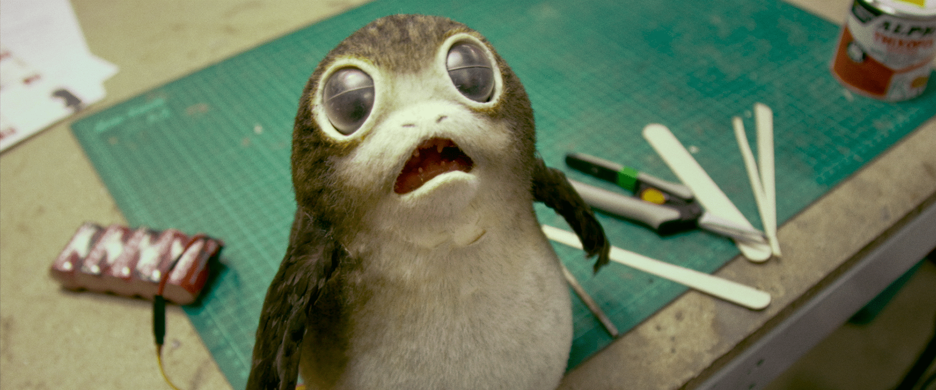 Star Wars | Música tema cantada por Porgs traz esperança de um mundo melhor (e mais fofo)