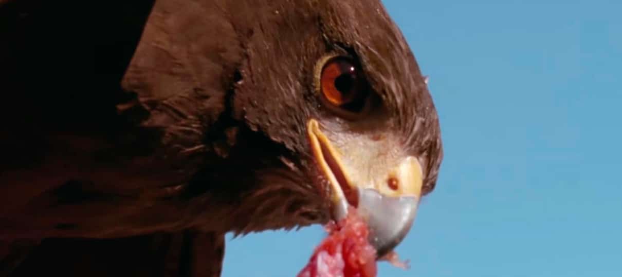 Assassin’s Creed Origins | Bayek dá início ao Credo em trailer live-action fantástico