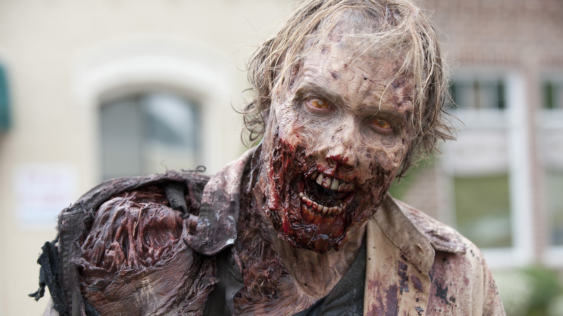 The Walking Dead terá uma nova série