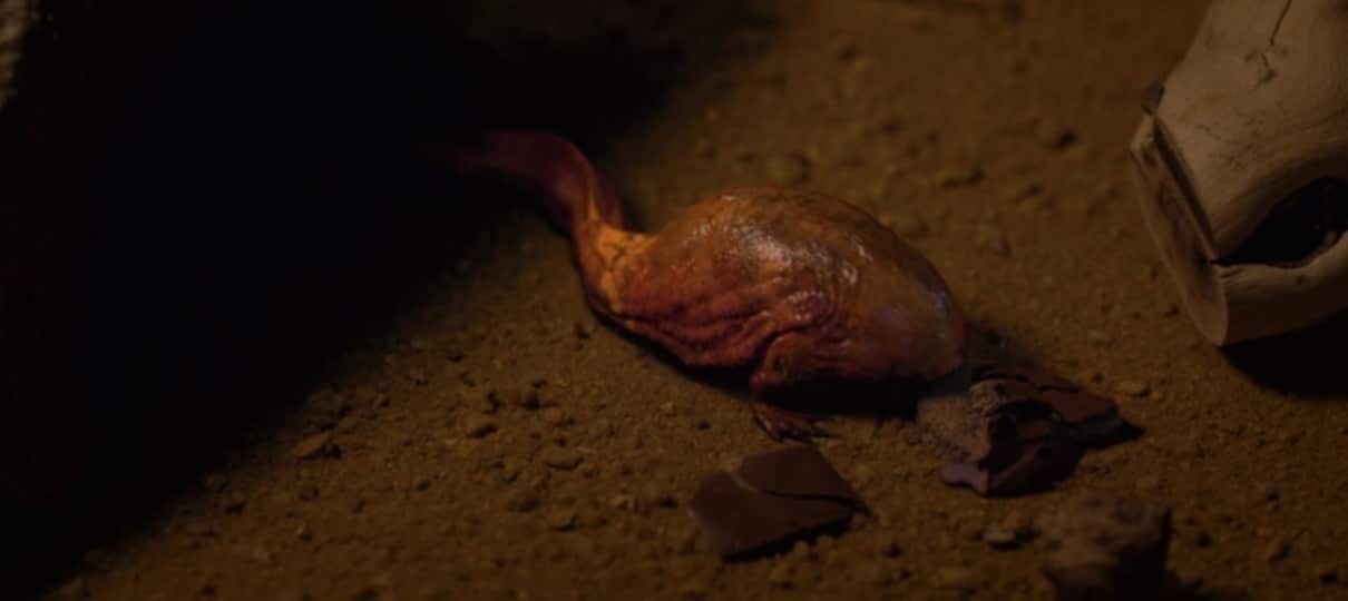 Stranger Things | Funko lança coleção de pelúcias das fases de crescimento de Dart!