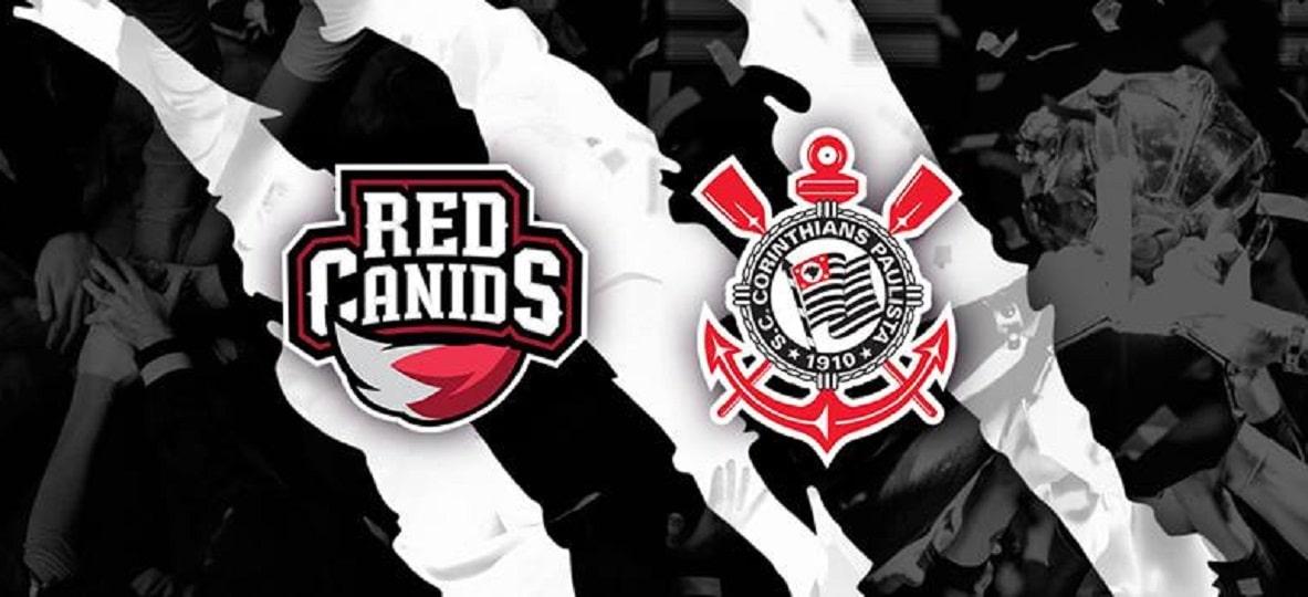 Red Canids Corinthians terá equipes de CS:GO, Rainbow Six Siege e Clash Royale