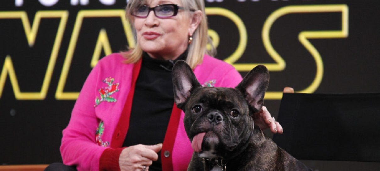 Cachorro de Carrie Fisher assistiu a Os Últimos Jedi e reagiu a todas as cenas com Leia