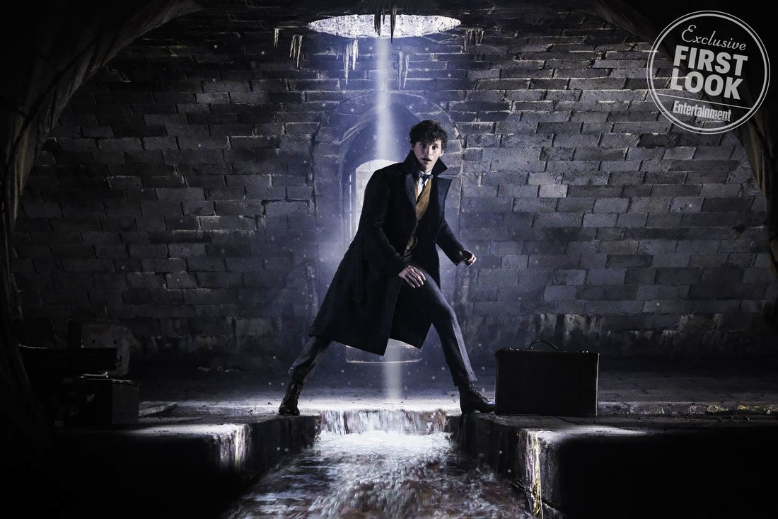 FANTASTIC BEASTS: THE CRIMES OF GRINDELWALD
EDDIE REDMAYNE as Newt Scamander