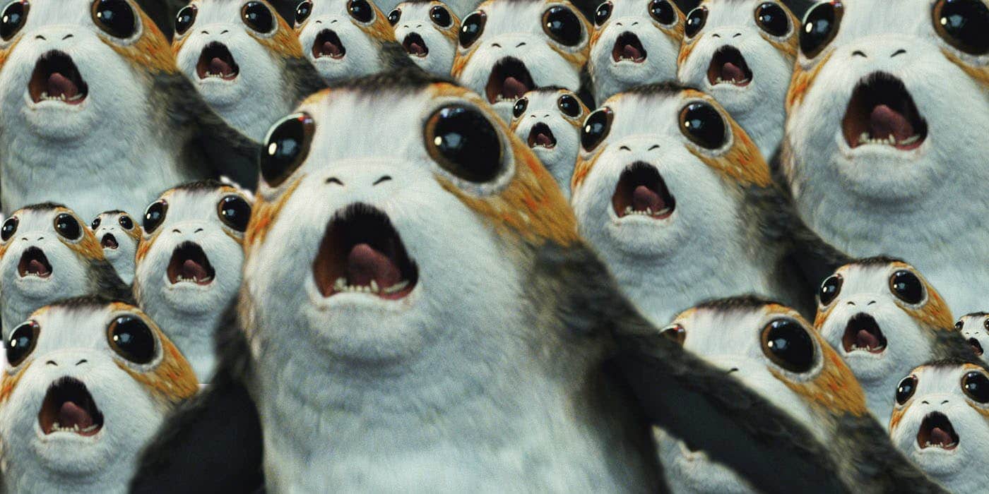 Star Wars: Os Últimos Jedi | Biólogo fala sobre o sabor dos Porgs