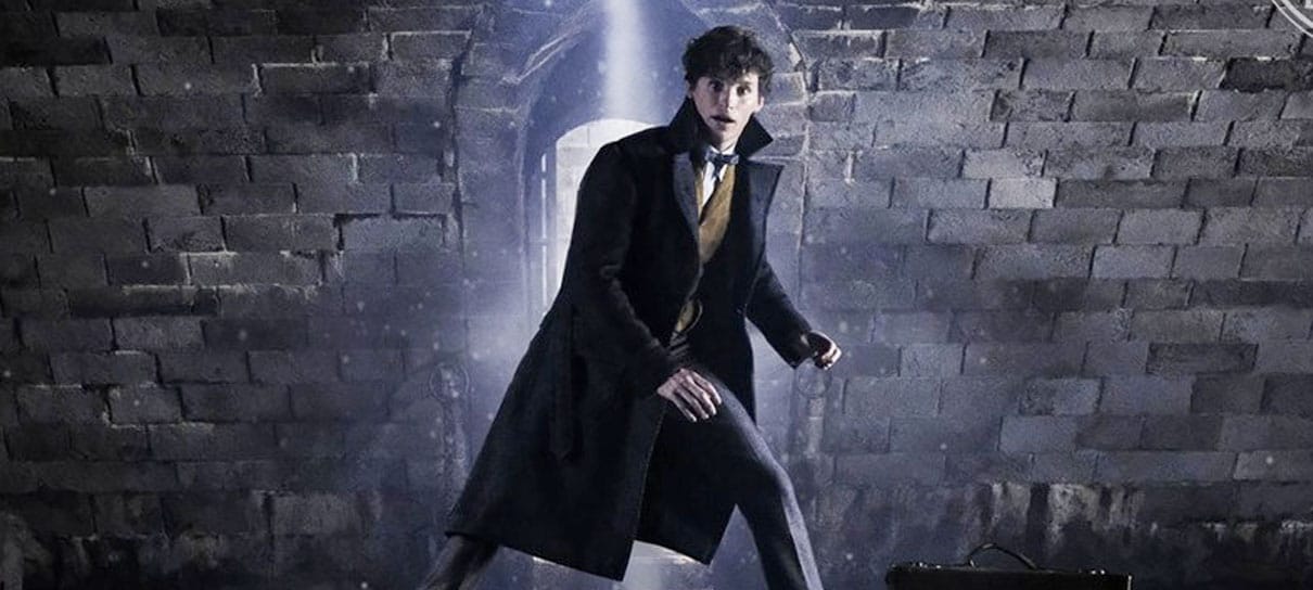 Animais Fantásticos: Os Crimes de Grindelwald | Newt aparece em imagem do filme
