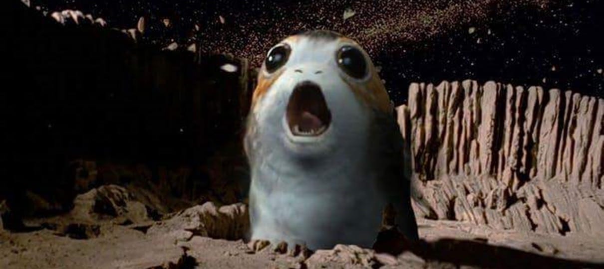 Porgs podem destruir equilíbrio do ecossistema no universo de Star Wars, dizem cientistas
