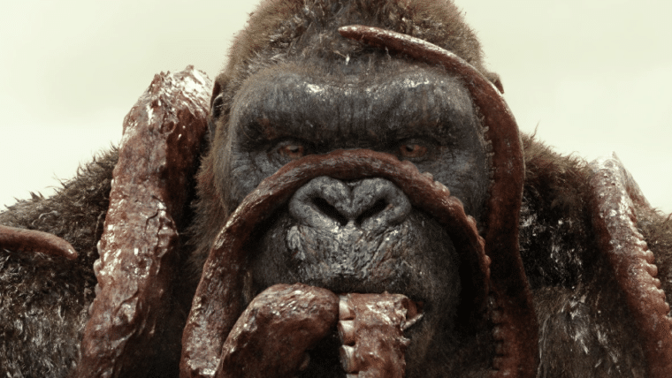 Godzilla vs. Kong pode começar a ser filmado em outubro, diz site