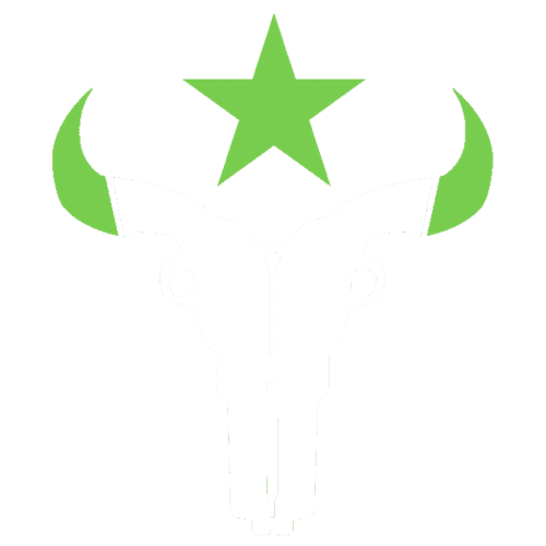 Houston Outlaws
