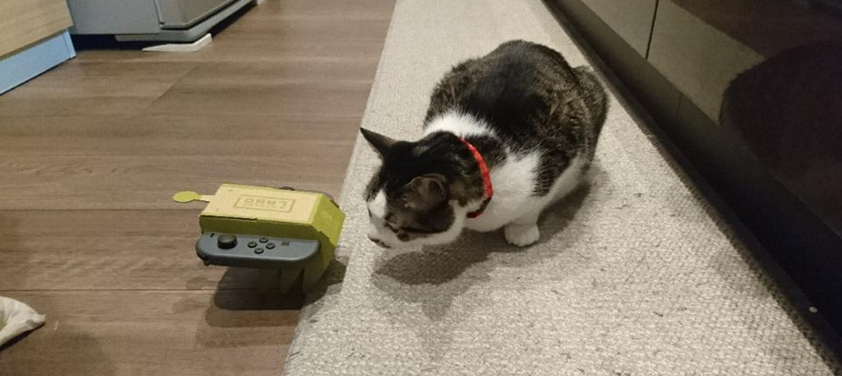 Esses gatos estão mais felizes que seus donos com o lançamento do Nintendo Labo