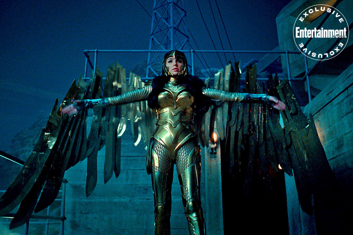 Wonder Woman 1984
Gal Gadot