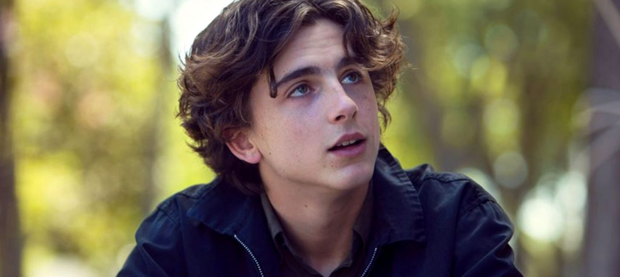 Timothée Chalamet pode estrelar nova adaptação de Duna