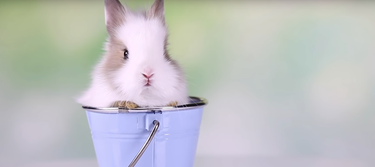 Comercial de The Good Place não faz sentido nenhum; assista
