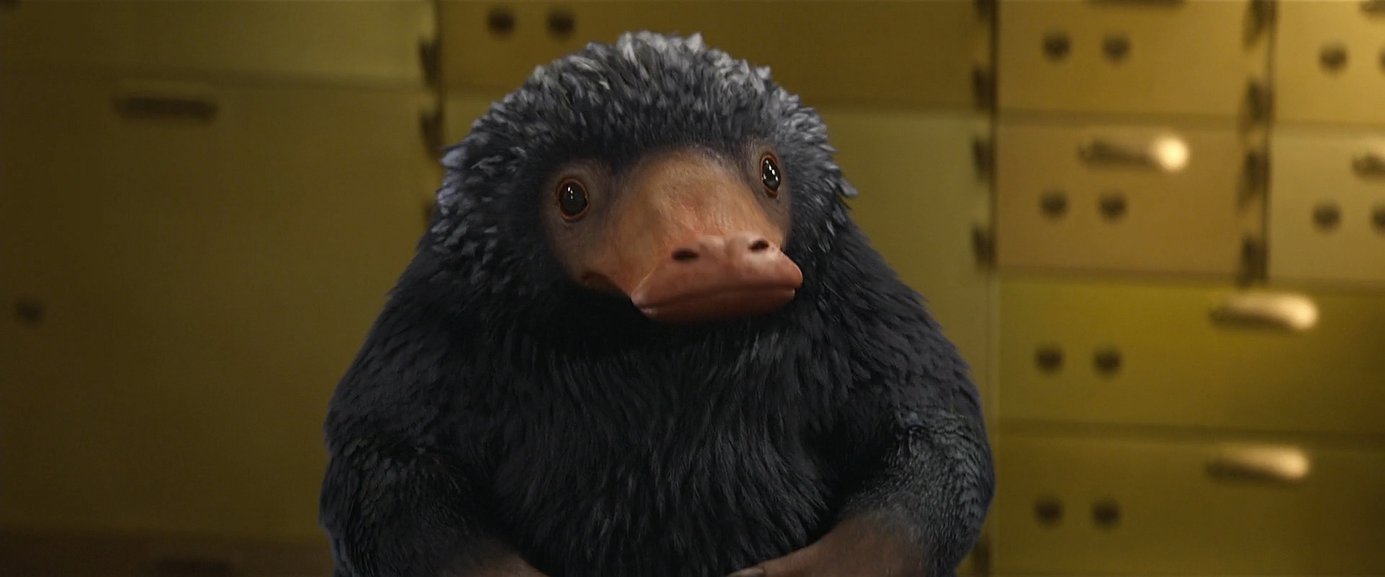 Animais Fantásticos: Os Crimes de Grindelwald | Nova foto mostra um filhote de Pelúcio